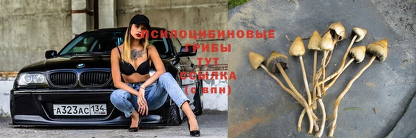 бошки Белоозёрский